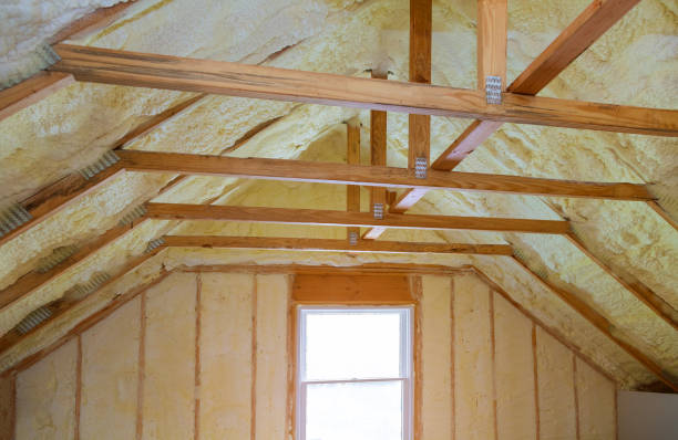 Best Spray Foam Insulation  in Fountain Inn, SC