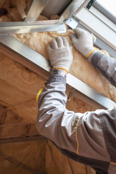 Best Insulation Repair Services  in Fountain Inn, SC