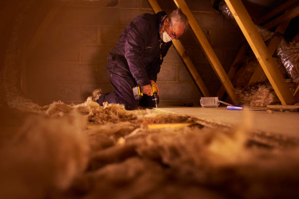 Best Local Insulation Services  in Fountain Inn, SC